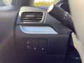 Kia Picanto Gold 1.2 MPI Grau - thumbnail 13