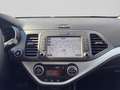 Kia Picanto Gold 1.2 MPI Grau - thumbnail 11