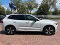 Volvo XC60 T6 Plug-in Hybrid AWD Plus Dark Auto Blanc - thumbnail 11