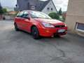 Ford Focus FESTPREIS... WHATSAPP 015236321177 Rouge - thumbnail 6