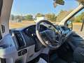 Ford Transit 350 2.0TDCi EcoBlue 130CV CASSONE RIBALTABILE Bianco - thumbnail 15