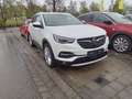 Opel Grandland X Business Innovation Plug-in-Hybrid 4 Weiß - thumbnail 5