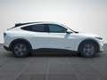 Ford Mustang Mach-E 99kWh*B&O*AHV*ACC*GARANTIE* Weiß - thumbnail 7