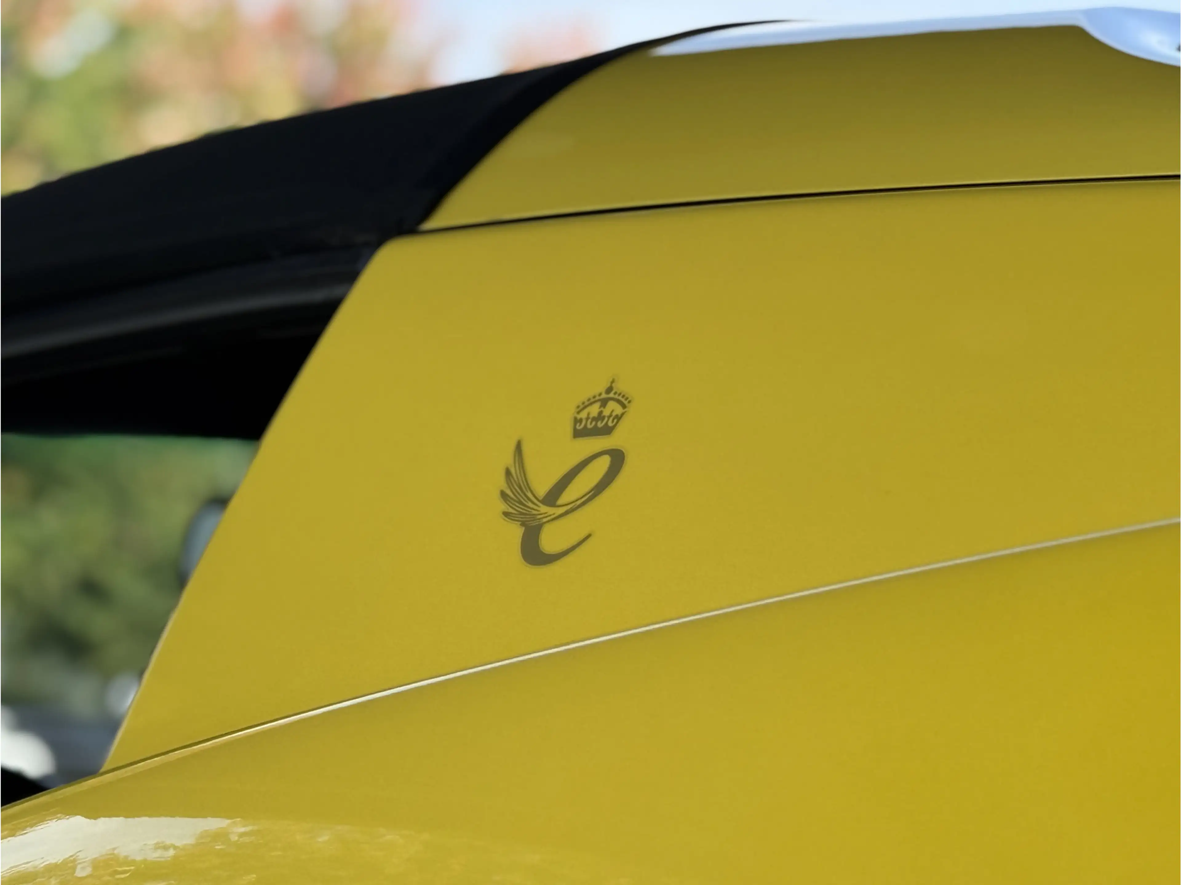 Lotus Elise 1.8-16V — photo 18