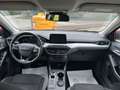 Ford Focus 1.5 EcoBlue 120 CV automatico 5p. Business Co-Pilo Rosso - thumbnail 12
