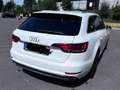 Audi A4 A4 Avant Diesel Avant 2.0 TDI S tronic sport Weiß - thumbnail 5