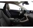 Lexus NX 300 300h Business 2WD Blanco - thumbnail 15