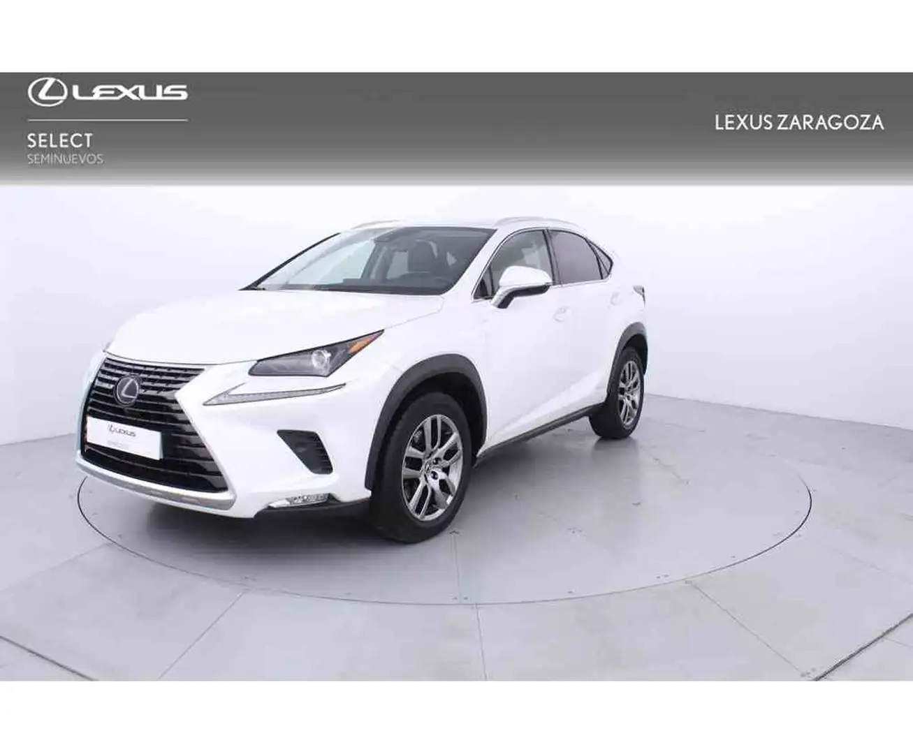 Lexus NX 300 300h Business 2WD Blanco - 1