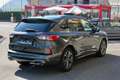 Ford Kuga Kuga 1.5 EcoBlue 120 CV 2WD ST-Line X Grigio - thumbnail 5