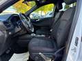 Ford Kuga 2.5 PHEV ST-Line LED*HUD*NAV*4xSHZ*CAM*EL-KLAPPE Blanc - thumbnail 24