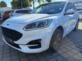 Ford Kuga 2.5 PHEV ST-Line LED*HUD*NAV*4xSHZ*CAM*EL-KLAPPE Blanc - thumbnail 3