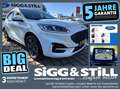 Ford Kuga 2.5 PHEV ST-Line LED*HUD*NAV*4xSHZ*CAM*EL-KLAPPE Blanc - thumbnail 1