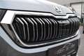 Skoda Kodiaq Kodiaq 2.0 TDI DSG Ambition. VELE OPTIES. Grigio - thumbnail 9