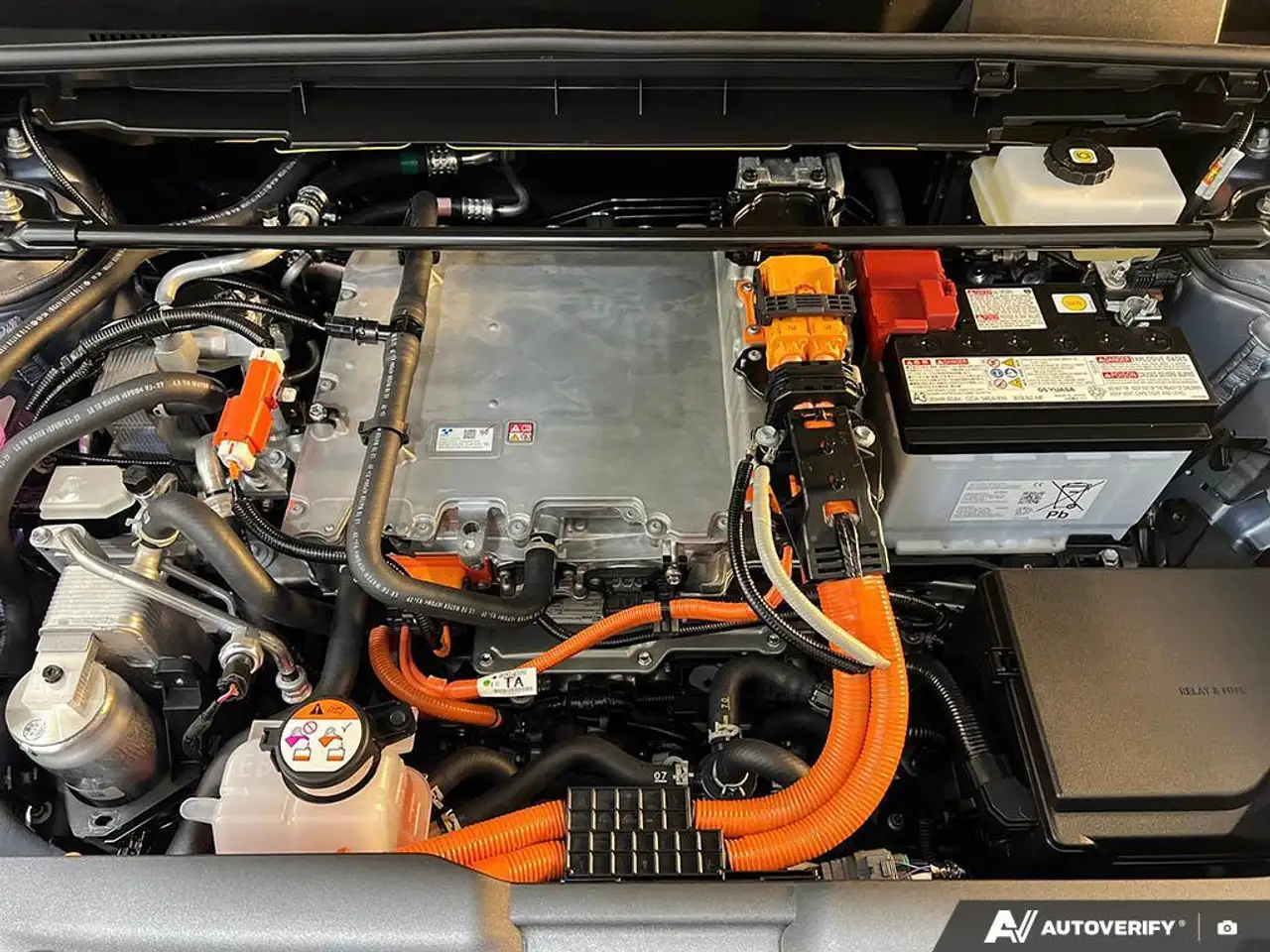 Lexus RZ снимка Lexus RZ