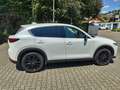Mazda CX-5 SKYACTIV-G 194 FWD 5T 6AG HOMURA Weiß - thumbnail 6