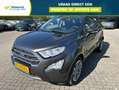 Ford EcoSport 1.0 EcoBoost 125pk Titanium Gris - thumbnail 1
