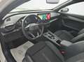 CUPRA Formentor 1.4 e-HYB. RearC SitzHzg. VirtC GARANTIE Weiß - thumbnail 9
