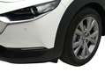 Mazda CX-30 e-SKYACTIV-G 2.0 90 kW 2WD Origin Blanco - thumbnail 24