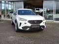 CUPRA Formentor 2,0 TDI 4Drive Cupra DSG Weiß - thumbnail 2