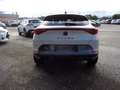 CUPRA Formentor 2,0 TDI 4Drive Cupra DSG Weiß - thumbnail 5
