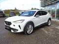 CUPRA Formentor 2,0 TDI 4Drive Cupra DSG Weiß - thumbnail 8