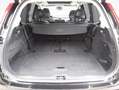 Volvo XC90 XC90 B5 D AWD Plus Bright Schwarz - thumbnail 5