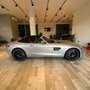 Mercedes-Benz AMG GT AMG GTC Roadster Silver - thumbnail 4