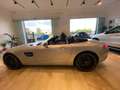 Mercedes-Benz AMG GT AMG GTC Roadster Silver - thumbnail 12