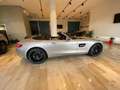 Mercedes-Benz AMG GT AMG GTC Roadster Silver - thumbnail 11