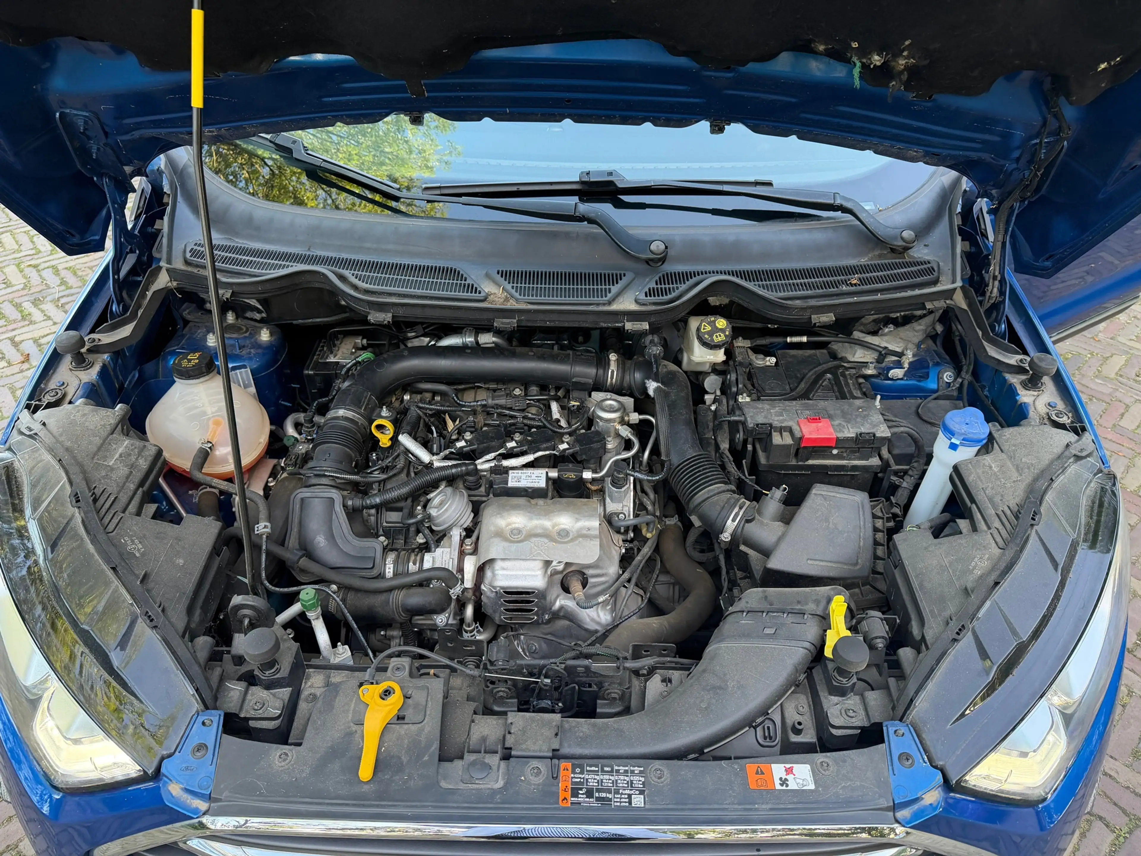 Ford EcoSport 1.0 EcoBoost Titanium. Wij zijn altijd de goedkoop — photo 11