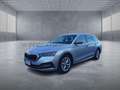 Skoda Octavia Octavia Wagon 2.0 tdi evo Style 115cv dsg Argent - thumbnail 1