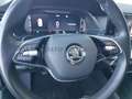 Skoda Octavia Octavia Wagon 2.0 tdi evo Style 115cv dsg Argent - thumbnail 15