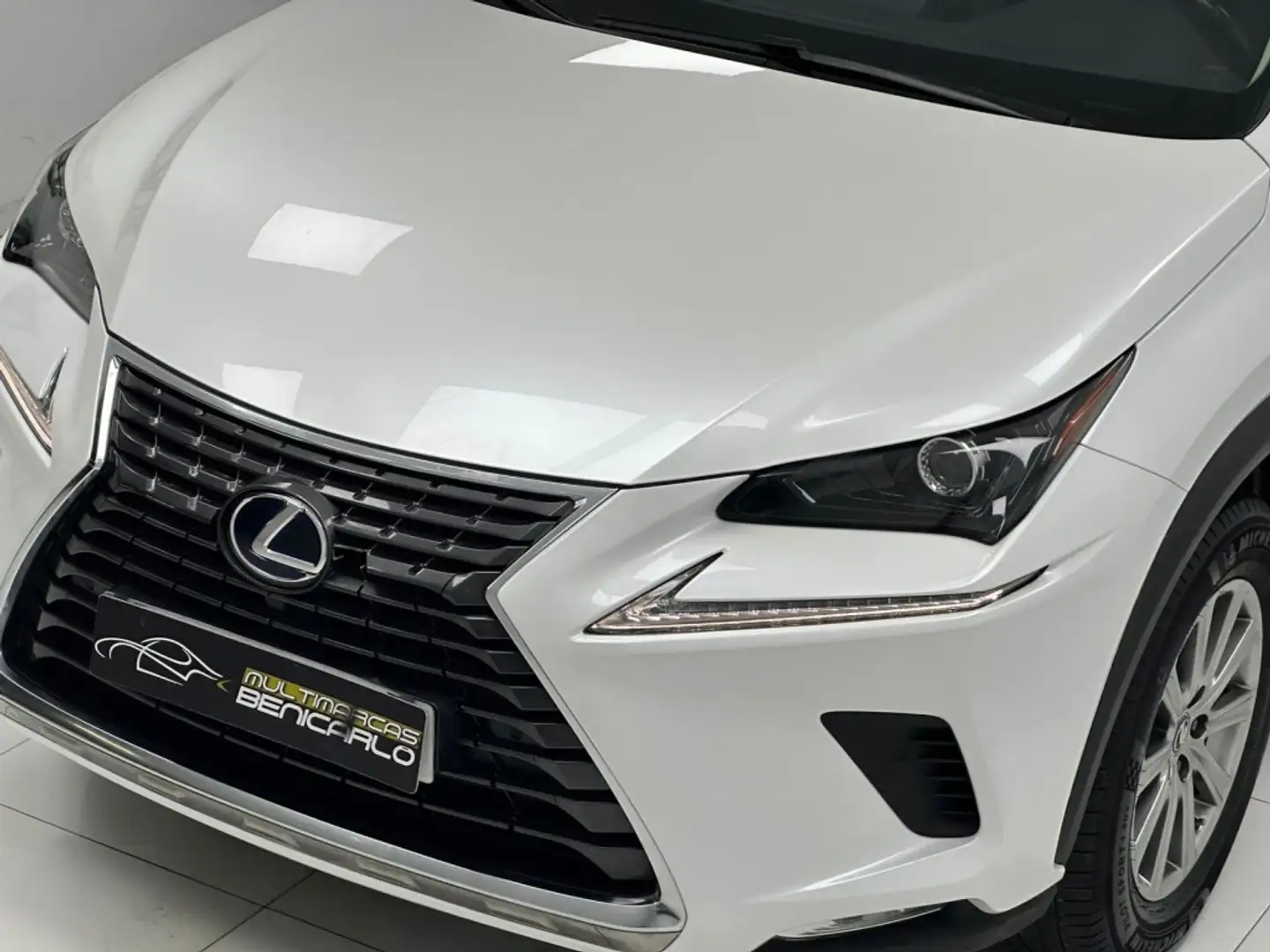 Lexus NX 300 300h Business Navigation 2WD Білий - 2