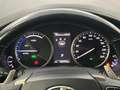 Lexus NX 300 300h Business Navigation 2WD Wit - thumbnail 19