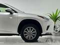 Lexus NX 300 300h Business Navigation 2WD White - thumbnail 7