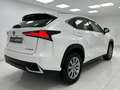 Lexus NX 300 300h Business Navigation 2WD Beyaz - thumbnail 8