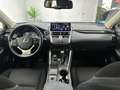 Lexus NX 300 300h Business Navigation 2WD Fehér - thumbnail 16