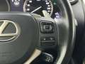 Lexus NX 300 300h Business Navigation 2WD White - thumbnail 20