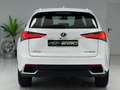 Lexus NX 300 300h Business Navigation 2WD Bianco - thumbnail 10