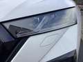 Skoda Octavia Combi RS 2.0 TDI AHK KAMERA SHZ LED Blanc - thumbnail 3