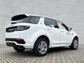 Land Rover Discovery Sport Discovery Sport P300e R-Dyn.S Plug-in Hybrid 18" Blanc - thumbnail 2