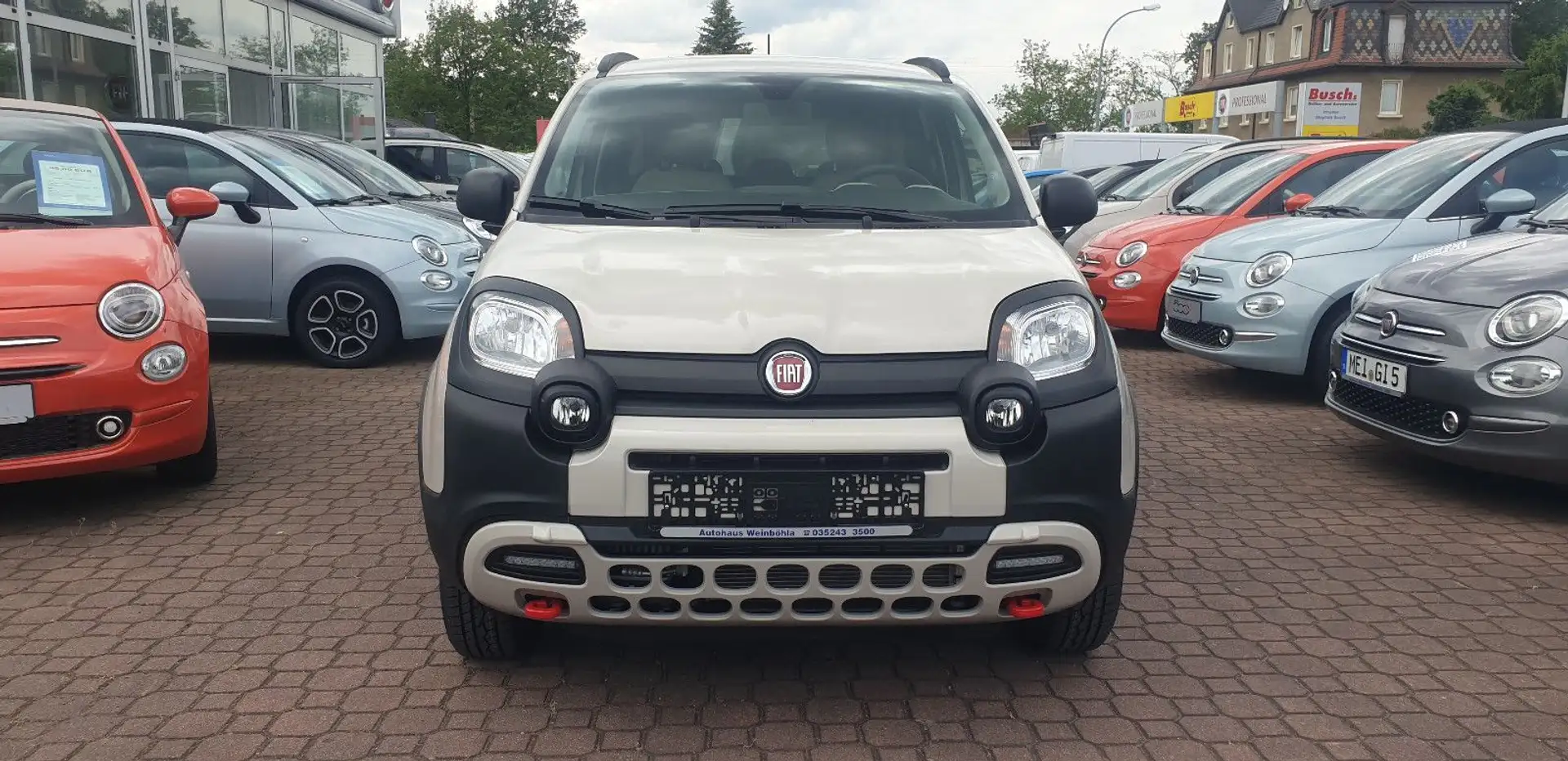 Fiat Panda 4x40 Jahre lim. Sondermodell Beige - 2