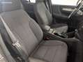 Volvo XC40 1.5 T3 165 BUSINESS 2WD GEARTRONIC BVA Beige - thumbnail 6