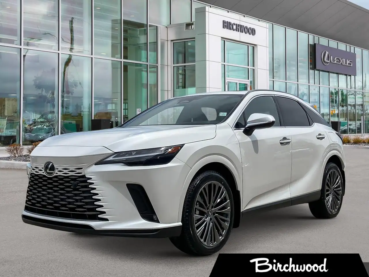 2026 Lexus RX