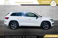 Skoda Kodiaq 1,5 TSI Sportline DSG // NAVI // ACC // VIRTUAL... Weiß - thumbnail 5