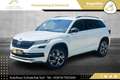 Skoda Kodiaq 1,5 TSI Sportline DSG // NAVI // ACC // VIRTUAL... Weiß - thumbnail 14