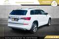 Skoda Kodiaq 1,5 TSI Sportline DSG // NAVI // ACC // VIRTUAL... Weiß - thumbnail 32