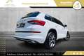 Skoda Kodiaq 1,5 TSI Sportline DSG // NAVI // ACC // VIRTUAL... Weiß - thumbnail 13