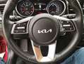 Kia Ceed SW / cee'd SW Xceed 1,5 TGDI 48V GPF Gold DCT,ACC,LED-SW,Fern... Rot - thumbnail 15