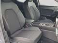 CUPRA Leon Leon 1.5 Hybrid 150 CV DSG Gri - thumbnail 18